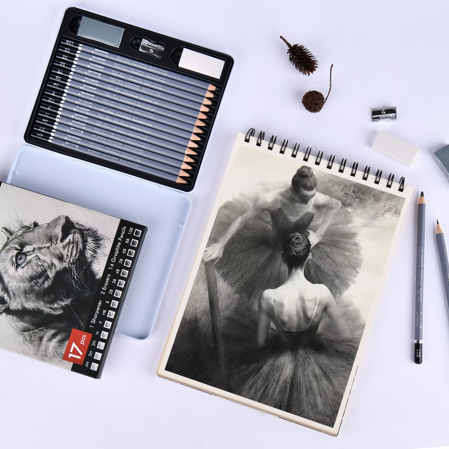 17-piece Graphite Sketch Set