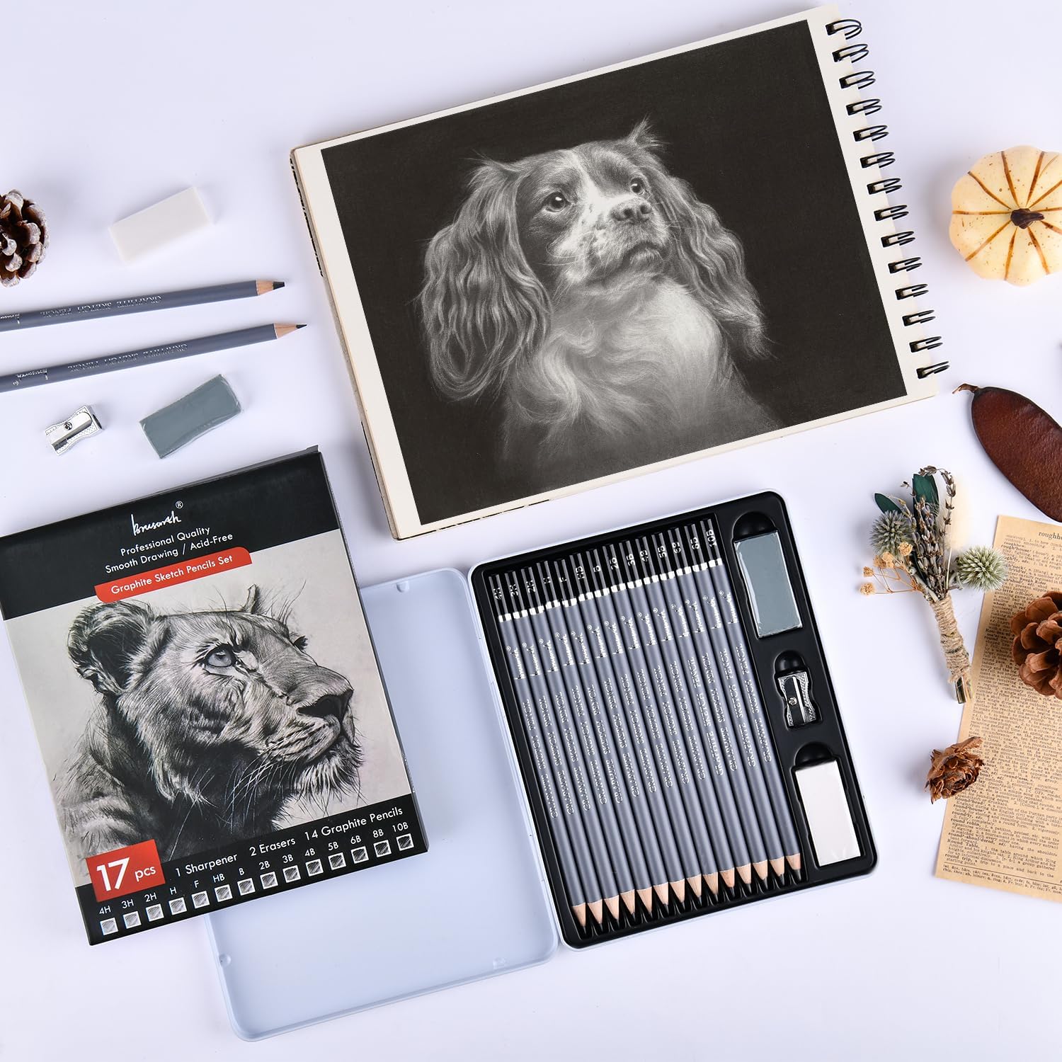 17-piece Graphite Sketch Set