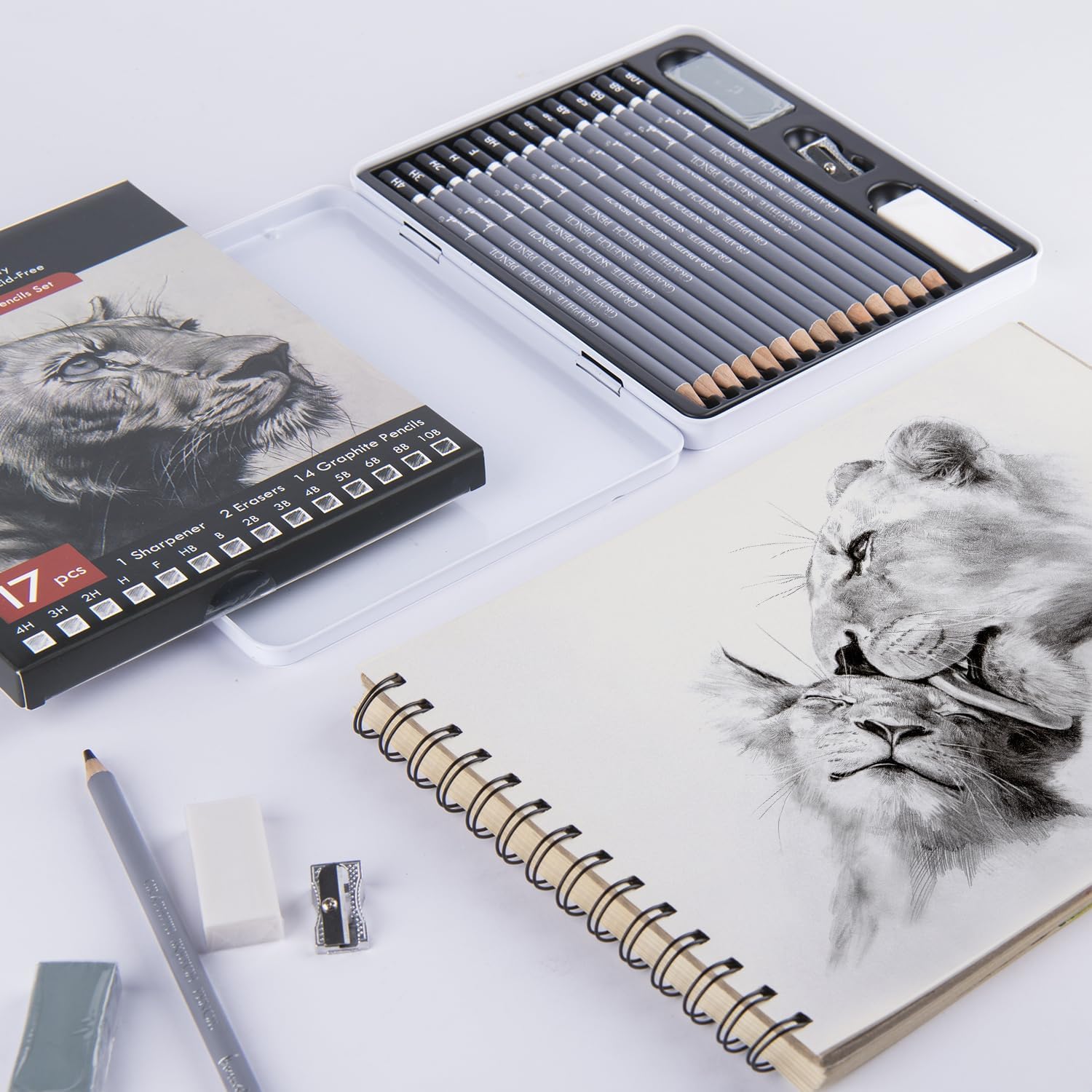 17-piece Graphite Sketch Set